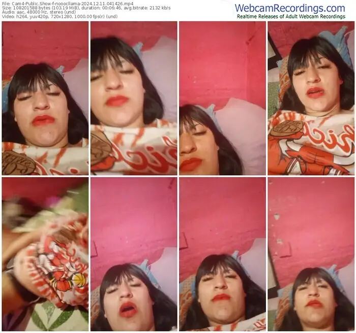 2024/12/11/cam4-nooocllama-04-14-26