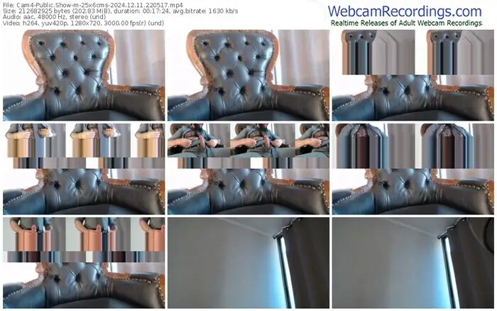 2024/12/11/cam4-25x6cms-22-05-17