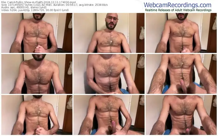2024/12/11/cam4-fla85-17-40-30