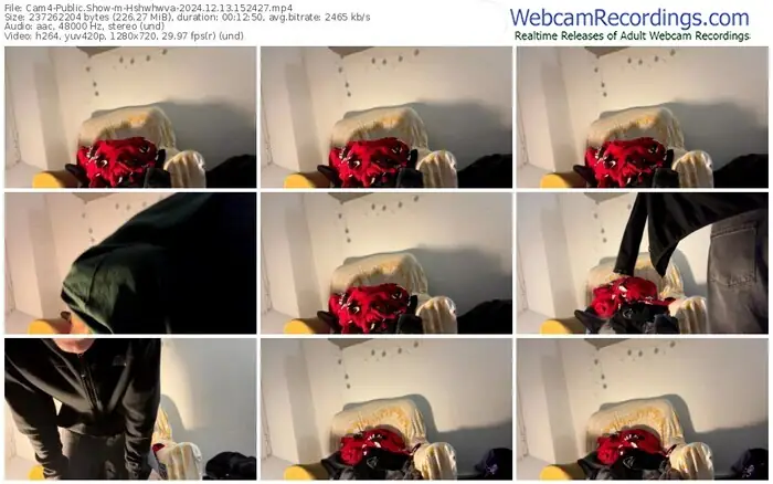 2024/12/13/cam4-hshwhwva-15-24-27