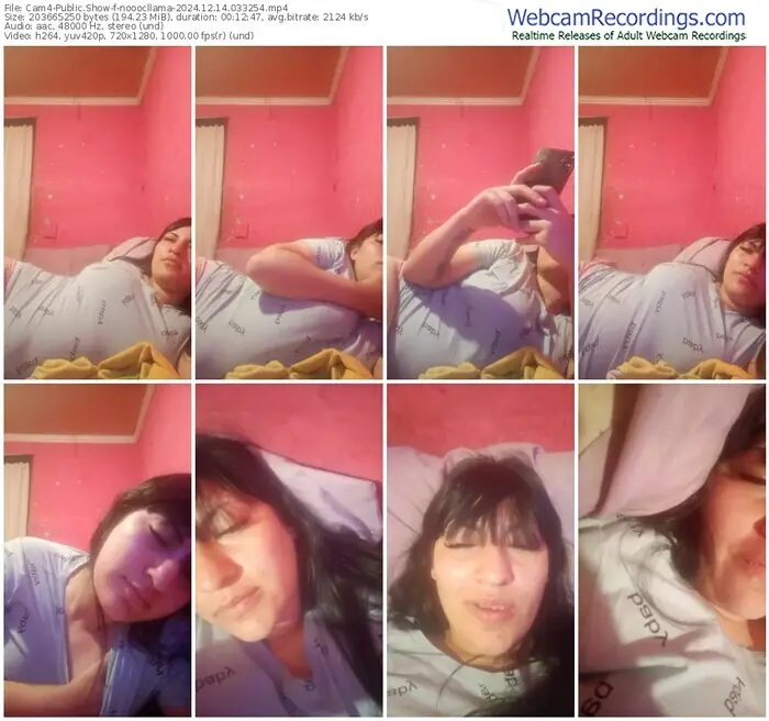 2024/12/14/cam4-nooocllama-03-32-54