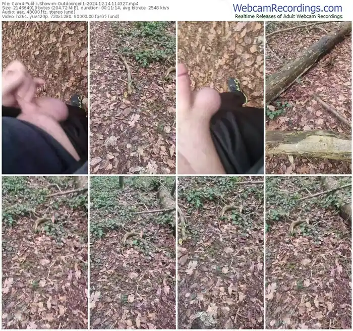 2024/12/14/cam4-outdoorgeil1-11-43-27