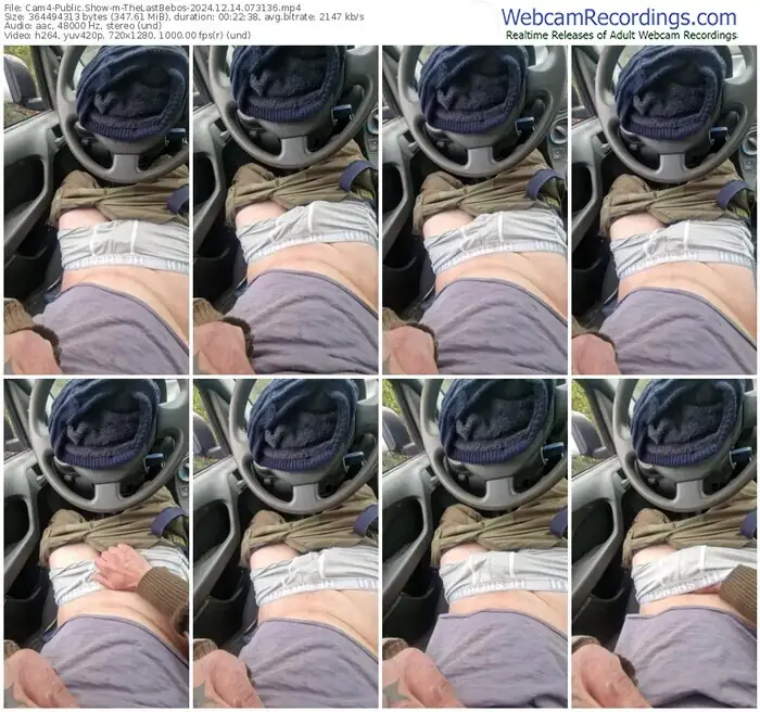 2024/12/14/cam4-thelastbebos-07-31-36