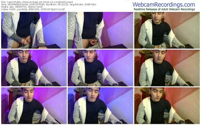 2024/12/14/cam4-kael_art-08-16-52