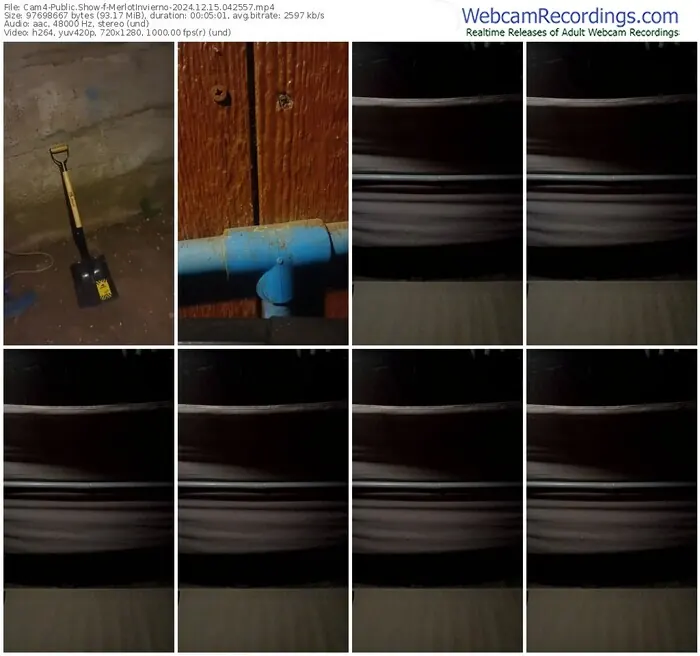 2024/12/15/cam4-merlotinvierno-04-25-57