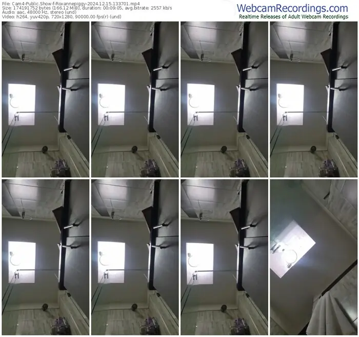 2024/12/15/cam4-roxannepiggy-13-37-01