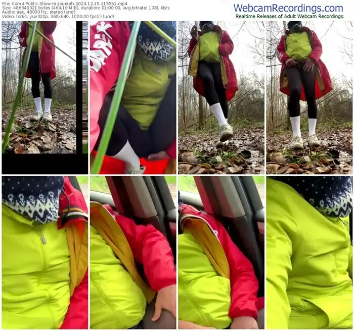 2024/12/15/cam4-joueurh-11-55-51