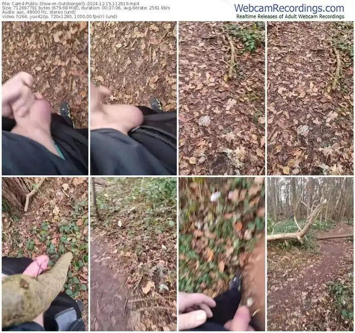 2024/12/15/cam4-outdoorgeil1-11-29-19