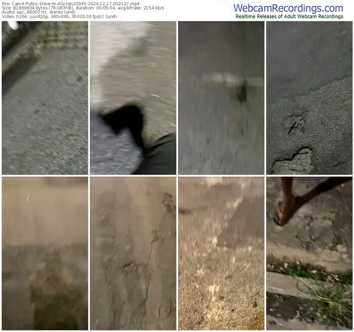 2024/12/17/cam4-allyson20345-03-21-27