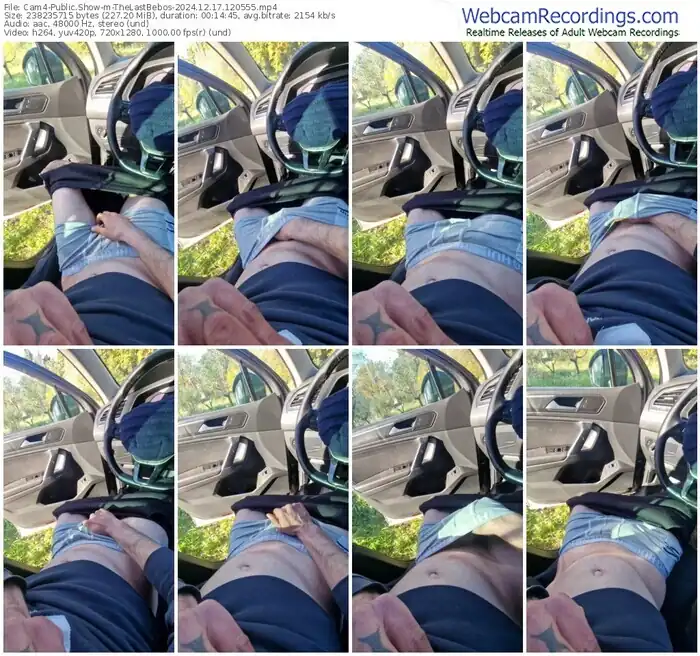 2024/12/17/cam4-thelastbebos-12-05-55