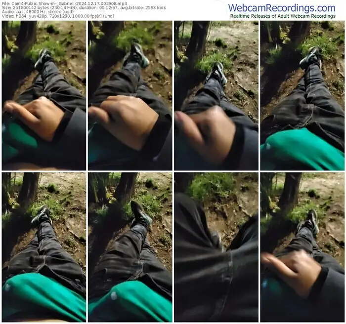 2024/12/17/cam4-_gabriell-00-29-08