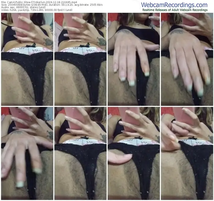 2024/12/18/cam4-tinkerlun-21-04-45