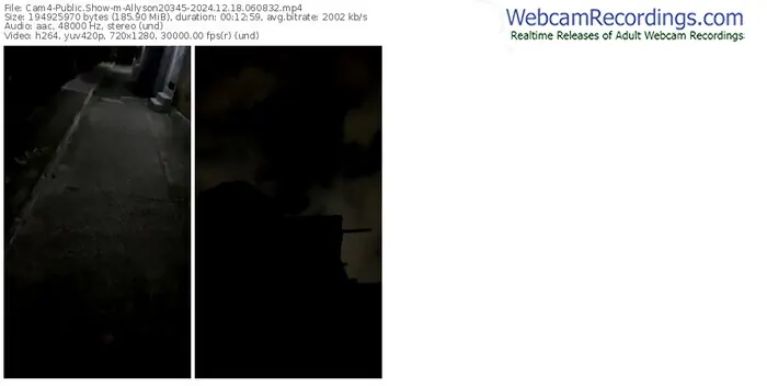 2024/12/18/cam4-allyson20345-06-08-32