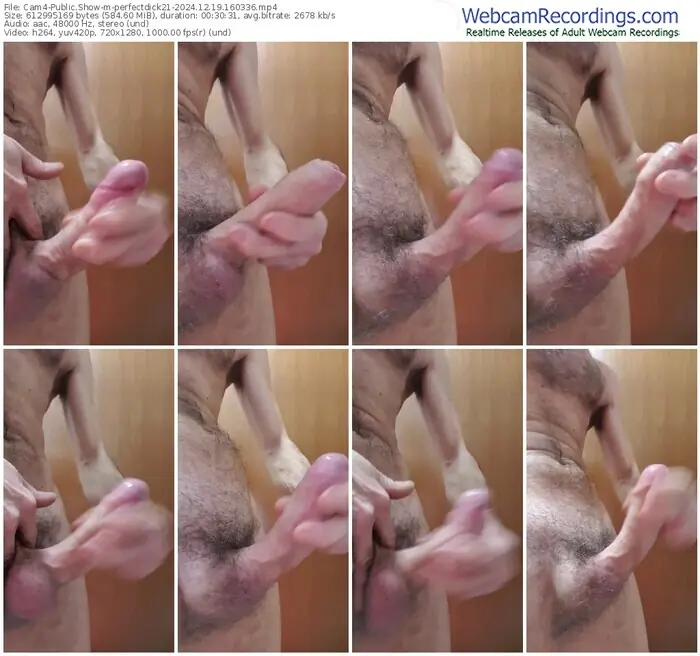 2024/12/19/cam4-perfectdick21-16-03-36