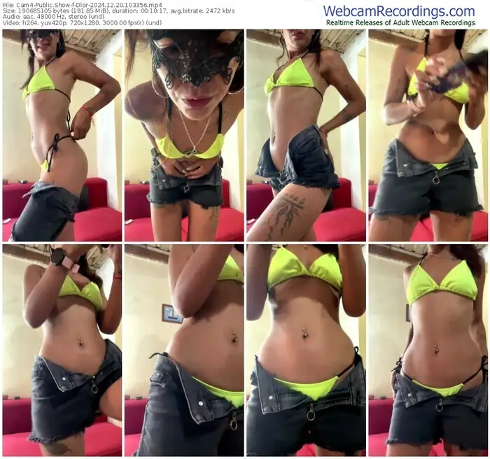2024/12/20/cam4-dlor-10-33-56