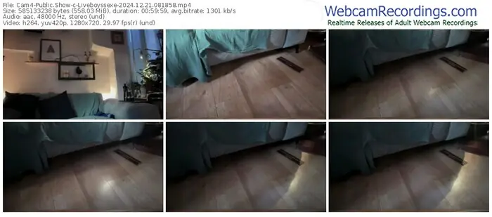 2024/12/21/cam4-liveboyssexe-08-18-58