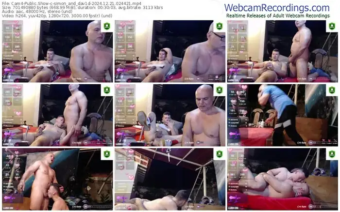 2024/12/21/cam4-simon_and_dav1d-02-44-21