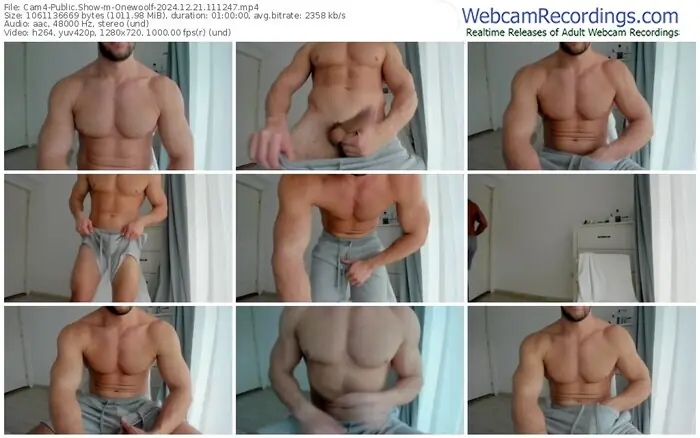 2024/12/21/cam4-onewoolf-11-12-47