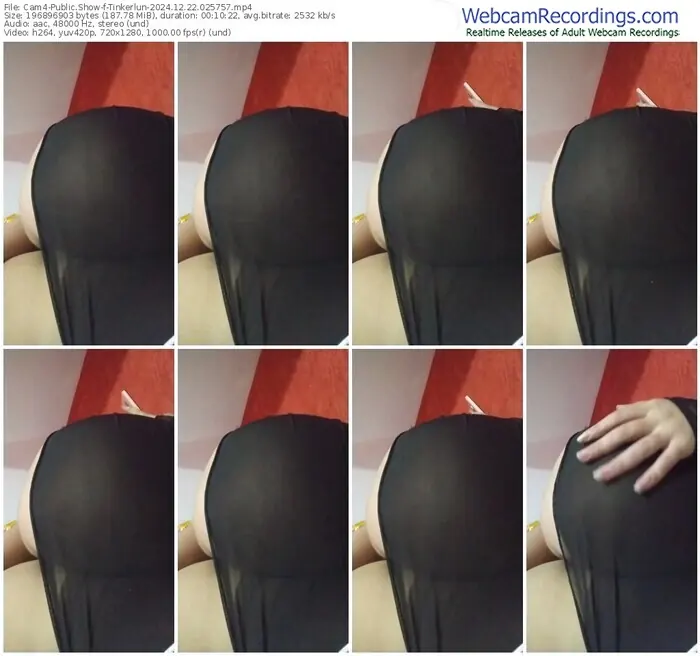 2024/12/22/cam4-tinkerlun-02-57-57