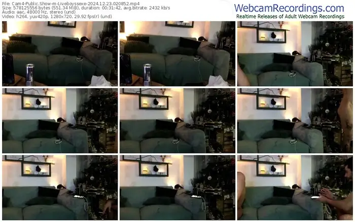 2024/12/23/cam4-liveboyssexe-02-08-52