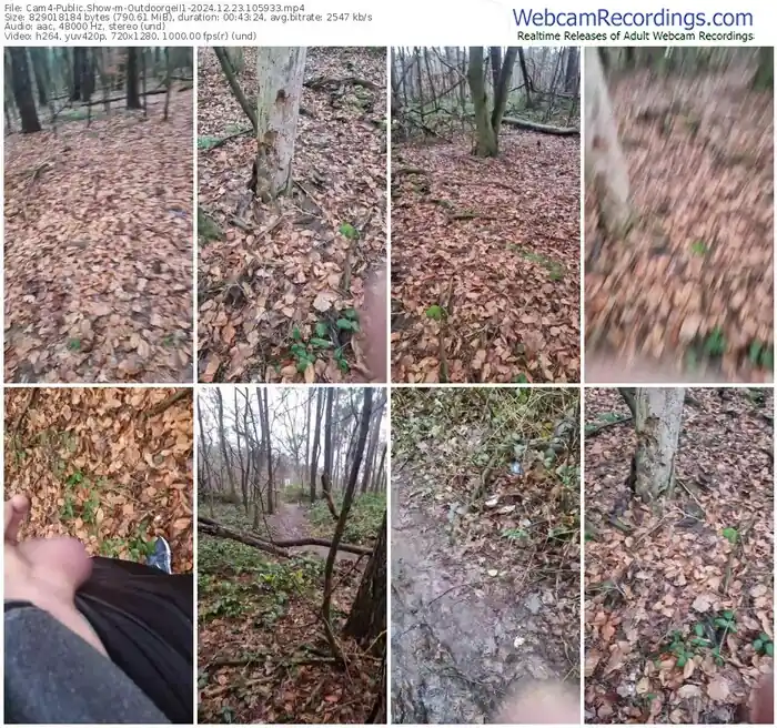 2024/12/23/cam4-outdoorgeil1-10-59-33