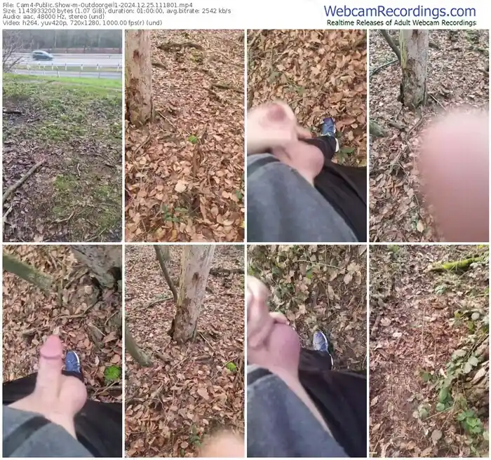 2024/12/25/cam4-outdoorgeil1-11-18-01