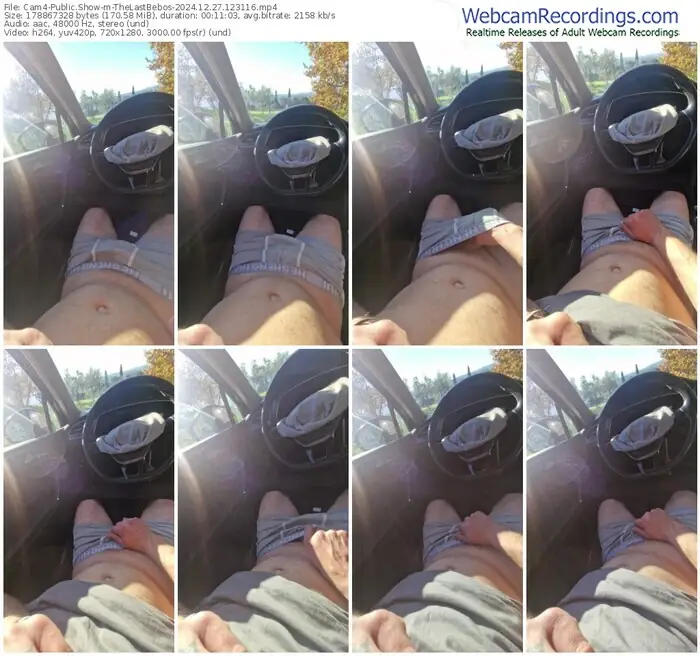 2024/12/27/cam4-thelastbebos-12-31-16