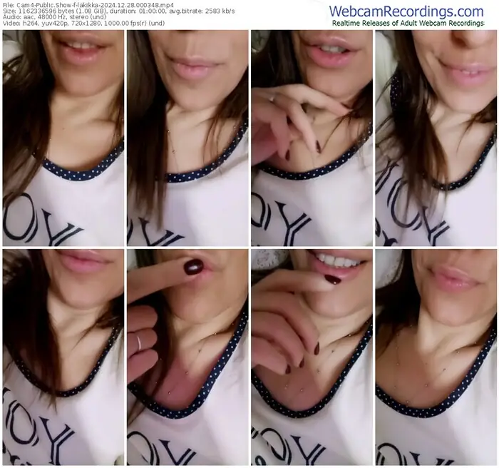 2024/12/28/cam4-lakikka-00-03-48