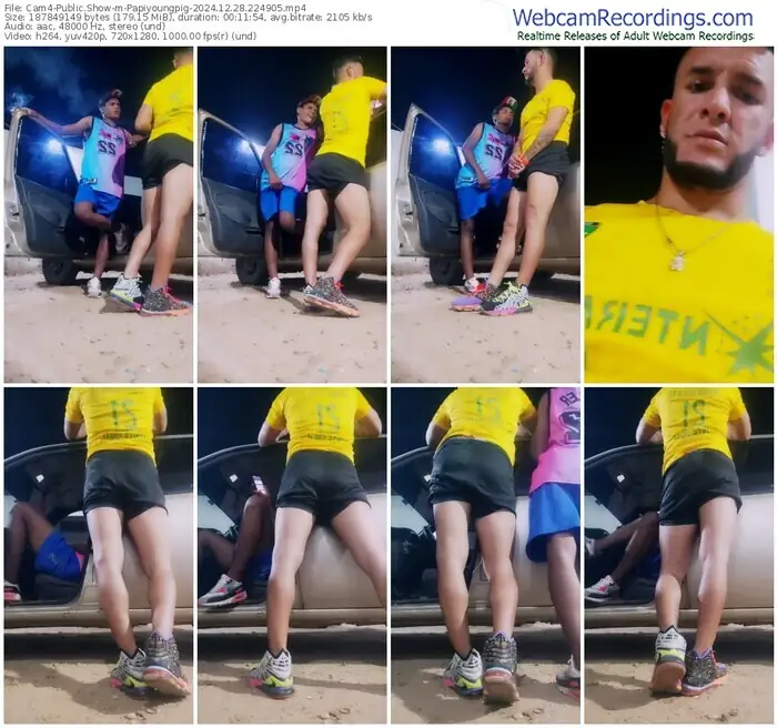 2024/12/28/cam4-papiyoungpig-22-49-05