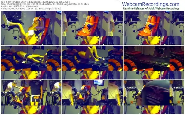 2024/12/29/cam4-boundgag1-21-06-58