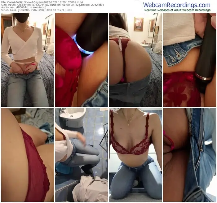 2024/12/29/cam4-dayana2022-17-00-01