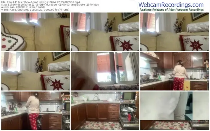 2024/12/29/cam4-martinabigst-08-59-30