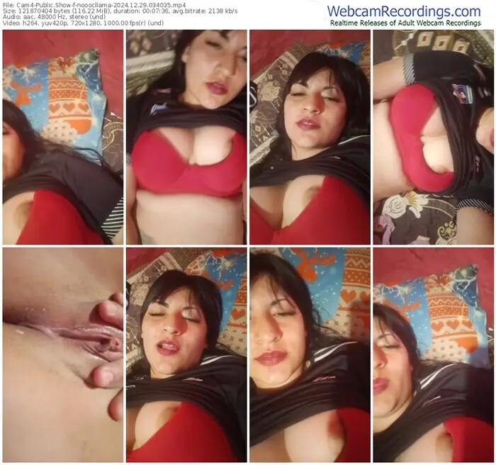 2024/12/29/cam4-nooocllama-03-40-35