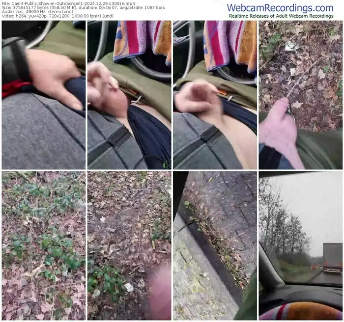 2024/12/29/cam4-outdoorgeil1-13-06-16