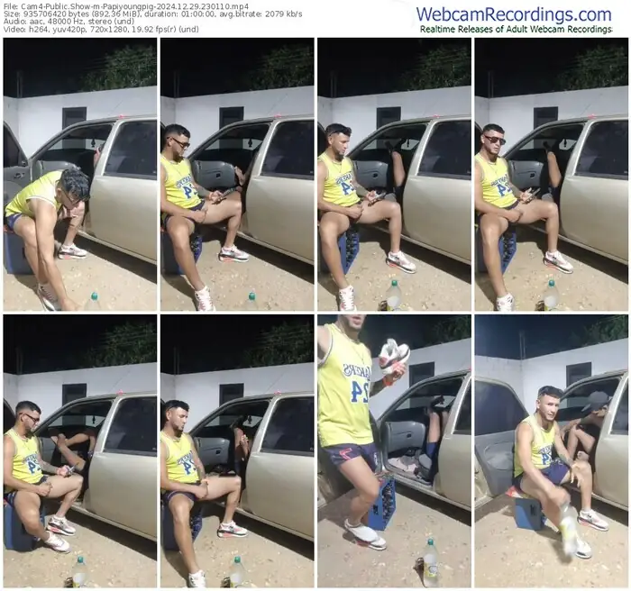 2024/12/29/cam4-papiyoungpig-23-01-10