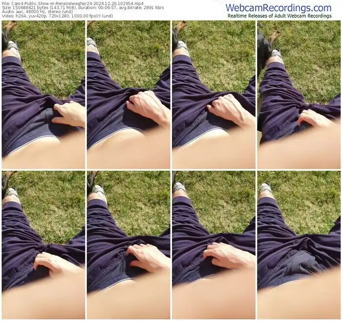 2024/12/29/cam4-renezelwegher24-10-29-54