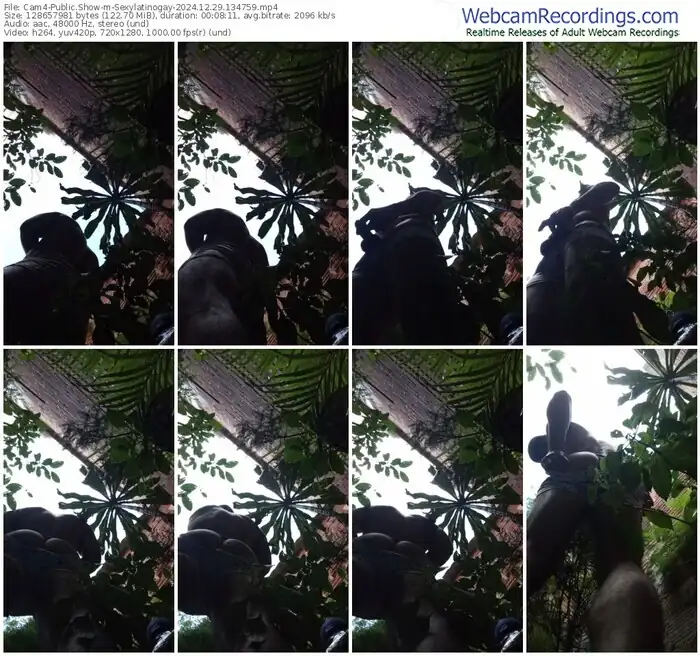 2024/12/29/cam4-sexylatinogay-13-47-59