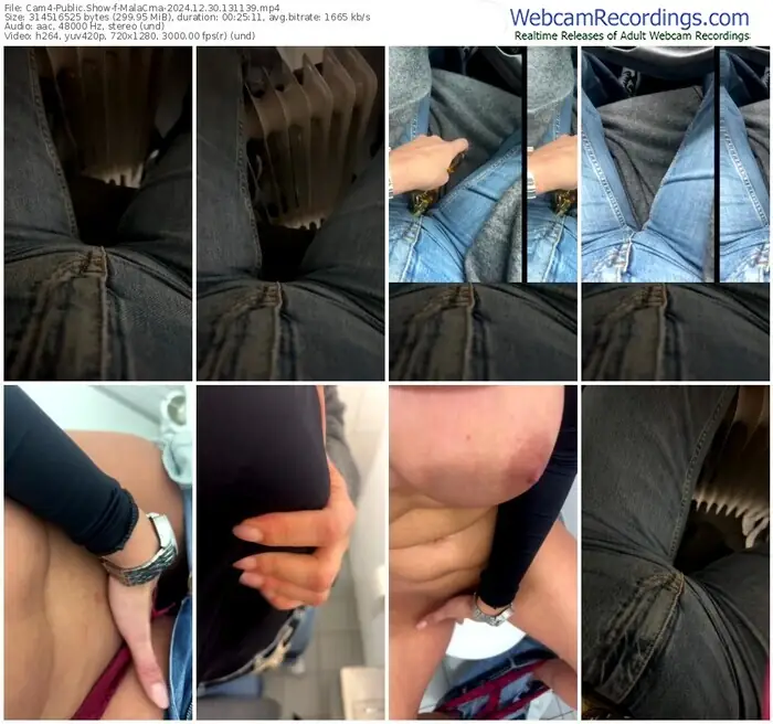 2024/12/30/cam4-malacrna-13-11-39