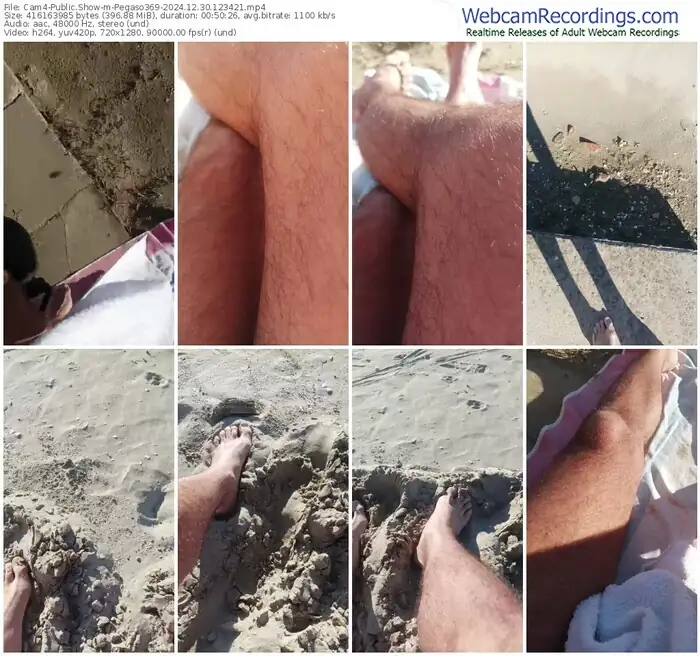 2024/12/30/cam4-pegaso369-12-34-21