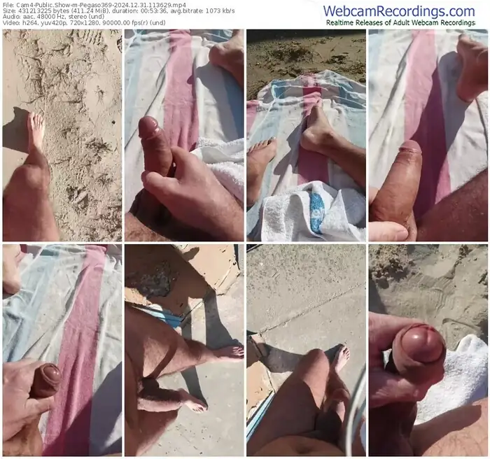 2024/12/31/cam4-pegaso369-11-36-29