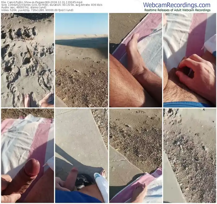 2024/12/31/cam4-pegaso369-13-30-45