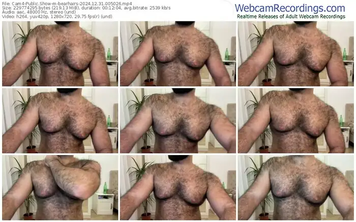 2024/12/31/cam4-bearhairs-00-50-26