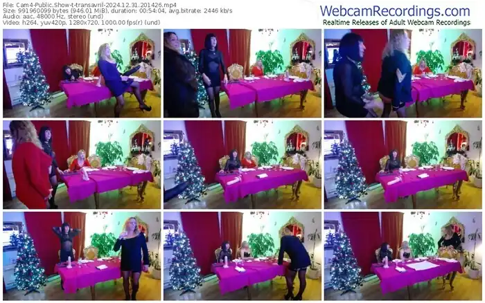 2024/12/31/cam4-transavril-20-14-26