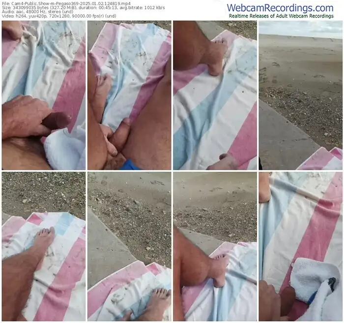 2025/01/02/cam4-pegaso369-12-48-19