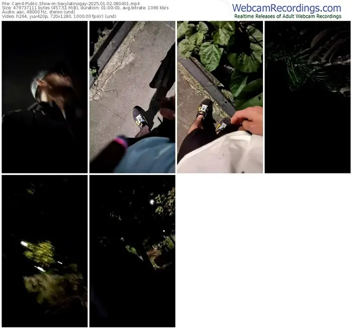 2025/01/02/cam4-sexylatinogay-08-04-01