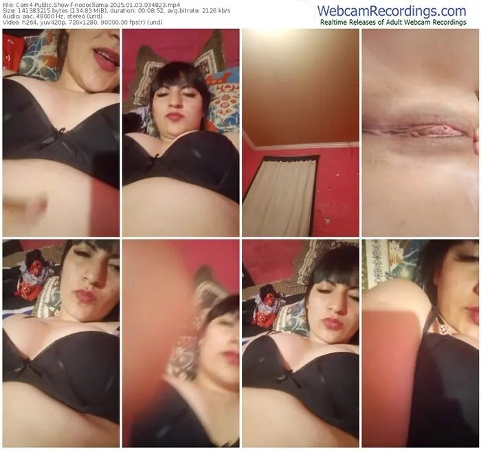 2025/01/03/cam4-nooocllama-03-48-23