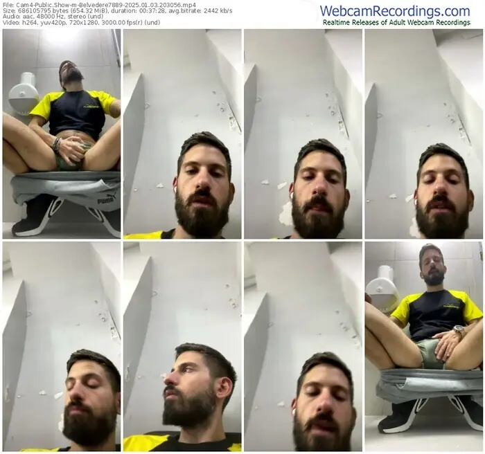 2025/01/03/cam4-belvedere7889-20-30-56