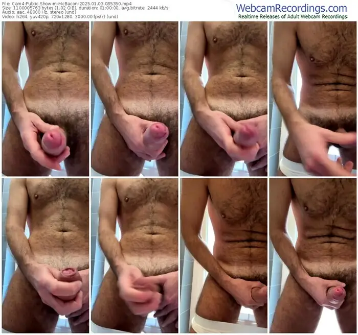 2025/01/03/cam4-mcbacon-08-53-50