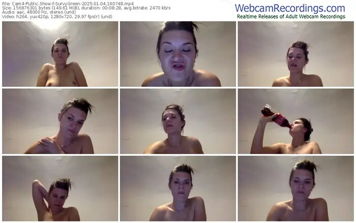 2025/01/04/cam4-survygreen-19-07-48