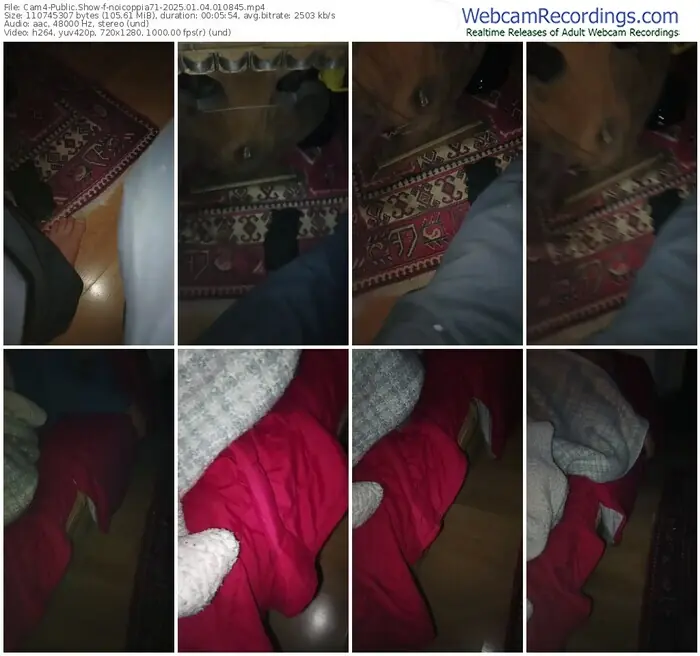 2025/01/04/cam4-noicoppia71-01-08-45